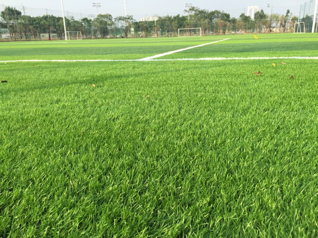 創(chuàng)新不止步，北京天罡新一代光穩(wěn)定劑蟬聯(lián)“榮格技術創(chuàng)新獎”