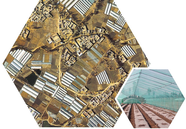 光穩(wěn)定劑在汽車(chē)內(nèi)飾中的應(yīng)用：守護(hù)駕乘空間的美觀與安全