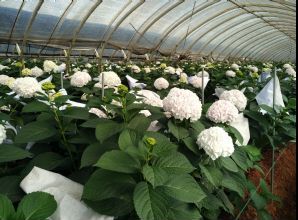 如何通過(guò)光穩(wěn)定劑降低塑料制品生命周期成本